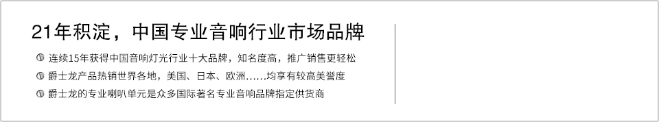 21年積淀，中國(guó)專(zhuān)業(yè)音響行業(yè)市場(chǎng)品牌